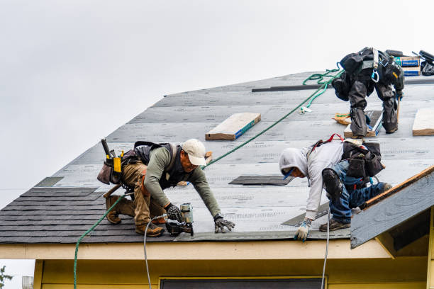 Professional Storm Damage Roof Repair technician working in Little Rock, IA